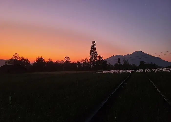 Batur Basecamp クブペンロカン
